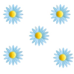 5 Pequeas Margaritas Azules con Corazn Amarillo (4,5 cm) - Sin Levadura