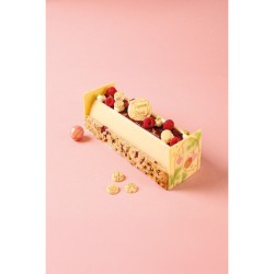 2 Tapones para tronco de Navidad Modern Lines (8 cm) - Chocolate blanco. n2