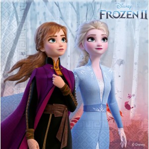 16 Toallas pequeas Frozen 2