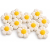 10 flores de malvavisco - Blancas