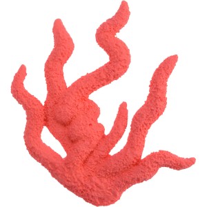 Coral Rojo Decorativo