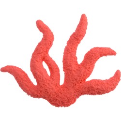 Coral Rojo Decorativo. n2