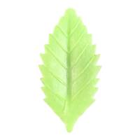 10 hojas verdes sin levadura - 4 cm
