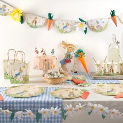 12 platos de conejo - Peter Rabbit. n2