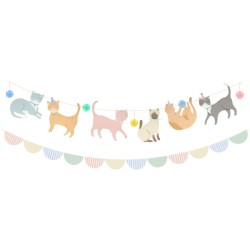 Grande Party Box Gato Pastel. n5