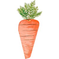16 servilletas Zanahoria