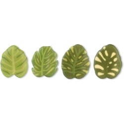 Surtido de 4 Hojas - 3, 4 cm - Chocolate Blanco. n1