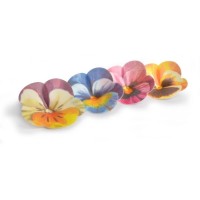 2 Pensamientos Grandes -  7 cm - Oblea