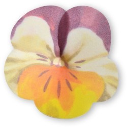 2 Pensamientos Grandes -  7 cm - Oblea. n1