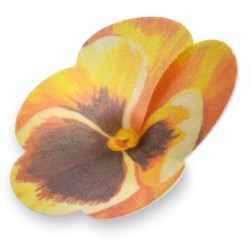 2 Pensamientos Grandes -  7 cm - Oblea. n5