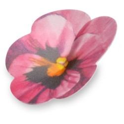 2 Pensamientos Grandes -  7 cm - Oblea. n6