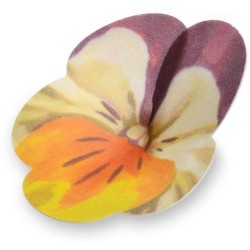 2 Pensamientos Grandes -  7 cm - Oblea. n8