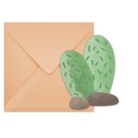 6 invitaciones de cumpleaños de cactus Lama