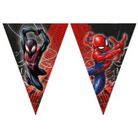 Guirnalda de banderines de Spiderman World Of Webs