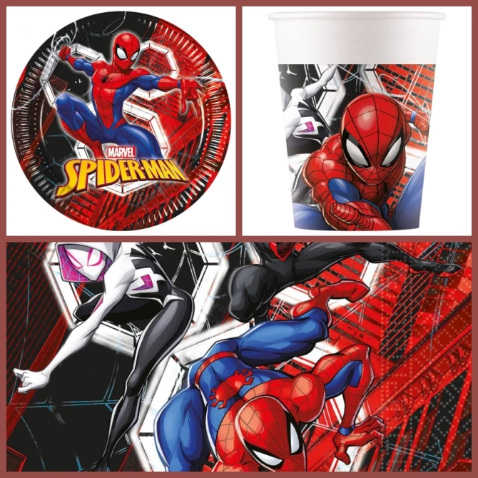 Caja de fiesta Spiderman Crime Fighter 