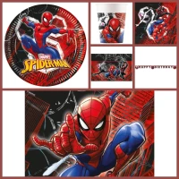 Caja de fiesta grande de Spiderman Crime Fighter