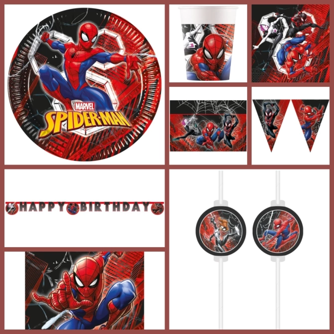 Caja de fiesta Maxi Spiderman Crime Fighter 