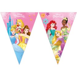 Caja de fiesta en vivo Maxi Princess. n4