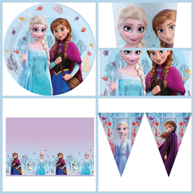 Caja de fiesta grande Frozen Idyllic Wonder 