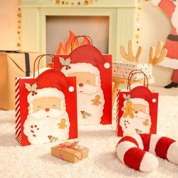 Bolsita de Regalo de Navidad Pap� Noel � 24 cm. n�1