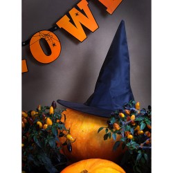 1 sombrero de bruja - Halloween. n°1