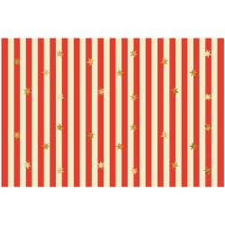 Caja de fiesta Maxi Circus. n3