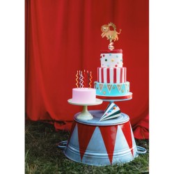 Adornos para tarta de circo de leones. n1