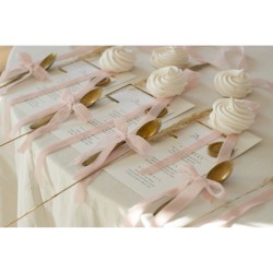 Cinta de terciopelo rosa claro - 15 mm x 10 m. n1