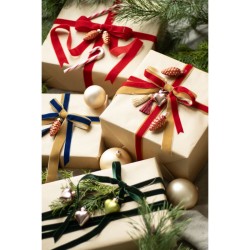 Cinta de terciopelo rojo - 25 mm x 10 m. n2