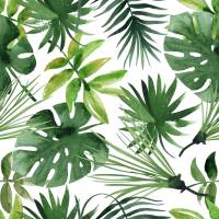 20 Servilletas Grandes - Selva Tropical