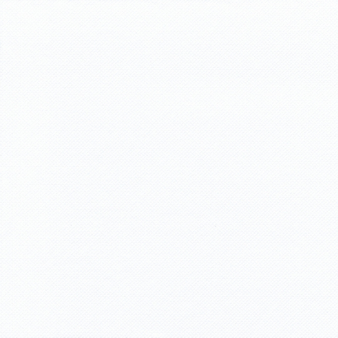 20 Servilletas "Royal Collection" - Blanco 