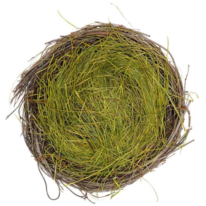 Nido Natural con Hierba -  20 cm 