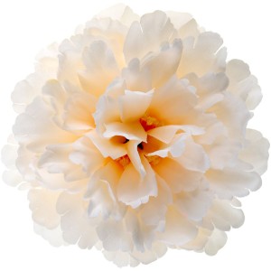 Paquete de 4 peon�as de � 11 cm - Marfil