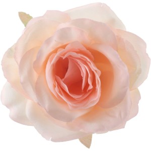 Paquete de 4 rosas de � 10 cm - Melocot�n