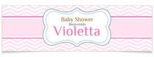 Bandera personalizada - Baby Shower Chica