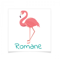 8 Tatuajes para personalizar - Pink Flamingo