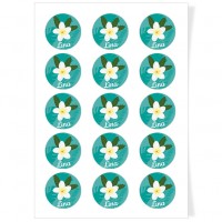 Discos Personalizados para Cupcakes - Flor Tropical