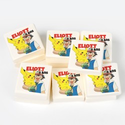 12 Malvaviscos personalizados - Pokemon Sacha. n1