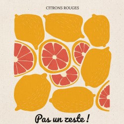 Tote bag para personalizar - Citrons rouges. n3