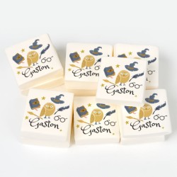 12 Malvaviscos Personalizados - Aprendiz de Brujo. n1
